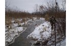 Property photo 3 - 42 Acres Offered in 3 Tracts